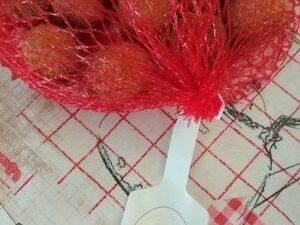 TODAY VASELINE 125ML DS 26061795